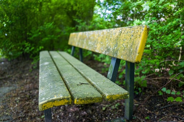 Photo vue rapprochée d'un banc vide dans un parc