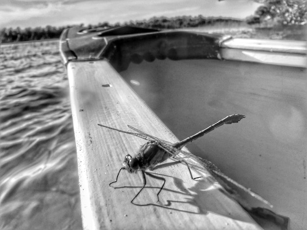 Photo vue rapprochée des bateaux dans l'eau