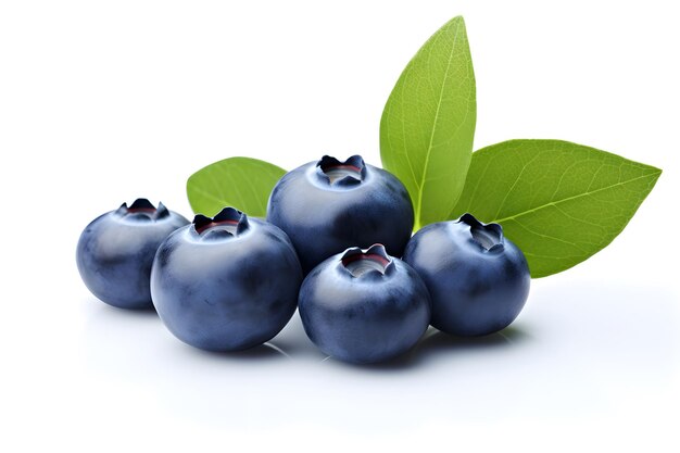 Vue rapprochée des bleuets aux feuilles vertes