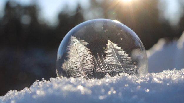 Photo vue rapprochée d'une boule gelée par une journée ensoleillée