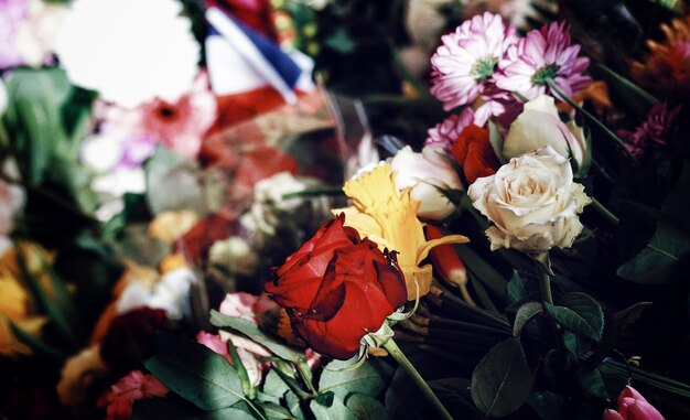 Photo vue rapprochée d'un bouquet de fleurs