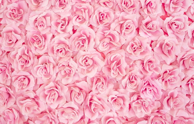 Vue rapprochée d'un bouquet de roses roses