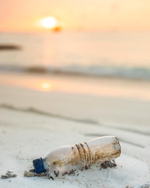 Photo vue rapprochée d'une bouteille abandonnée sur une coquille sur la plage