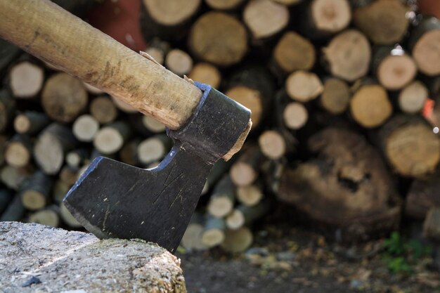 Photo vue rapprochée d'une bûche sur du bois