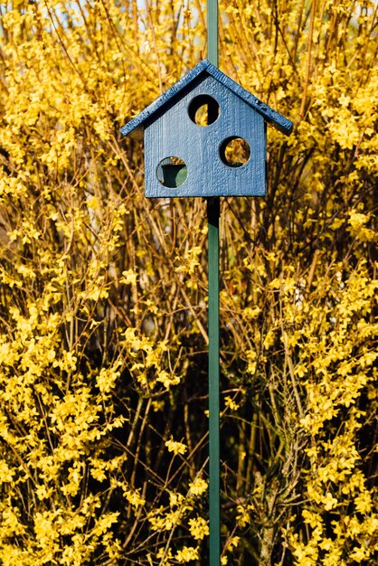 Photo vue rapprochée d'une cabane pour oiseaux sur un arbre