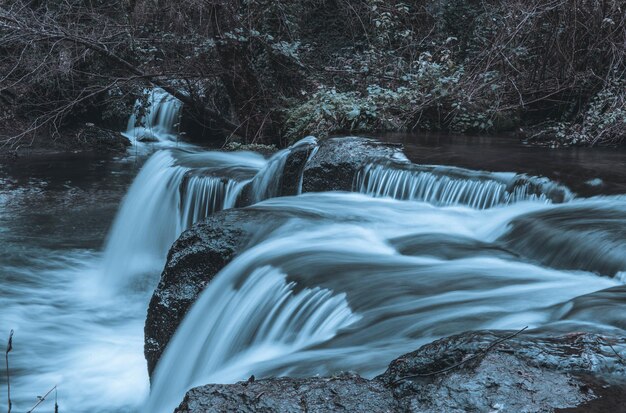 Vue rapprochée d'une cascade dans la forêt