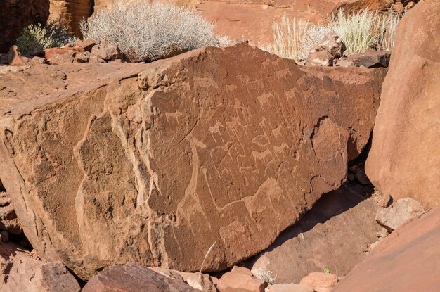 Vue rapprochée de la célèbre peinture rupestre et des rayures de Twyfelfontein au Damaraland, en Namibie, en Afrique