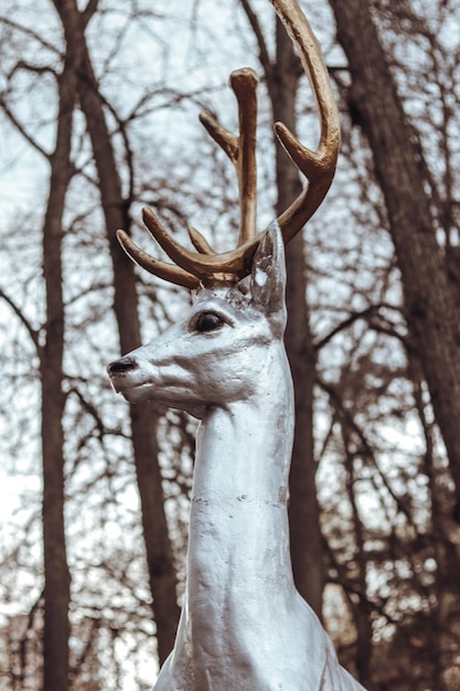 Vue rapprochée d'un cerf dans la forêt