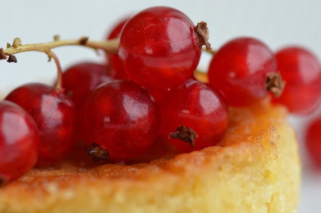 Photo vue rapprochée des cerises