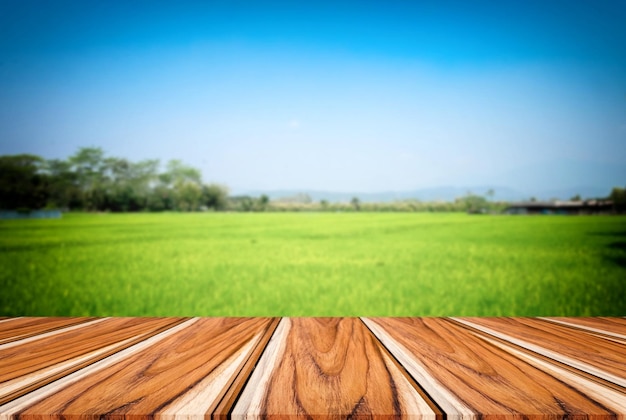 Photo vue rapprochée d'un champ agricole contre le ciel