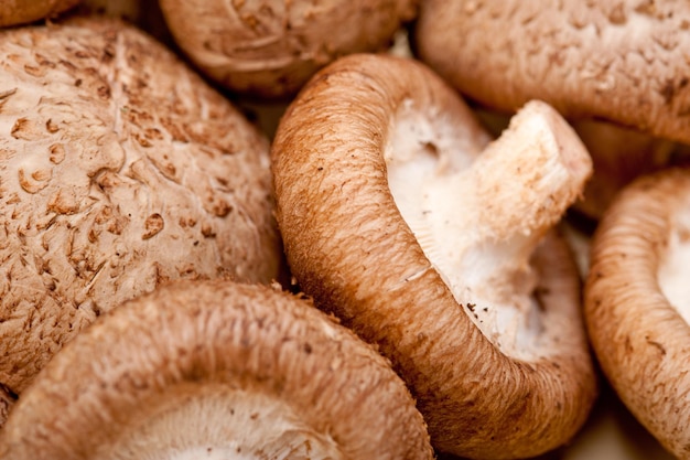 Vue rapprochée des champignons comestibles sur la table