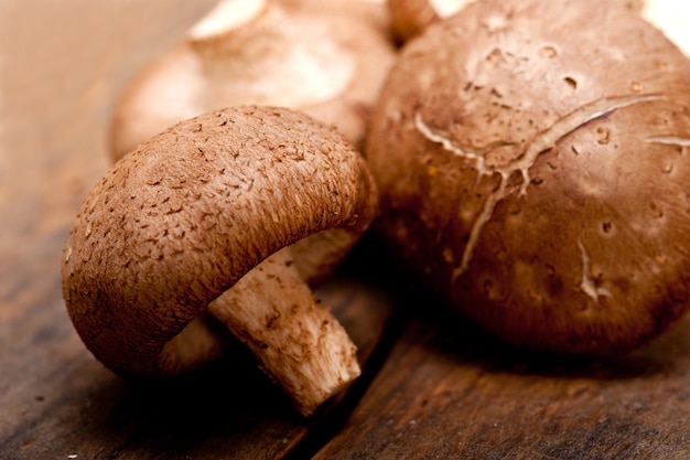 Vue rapprochée des champignons comestibles sur la table