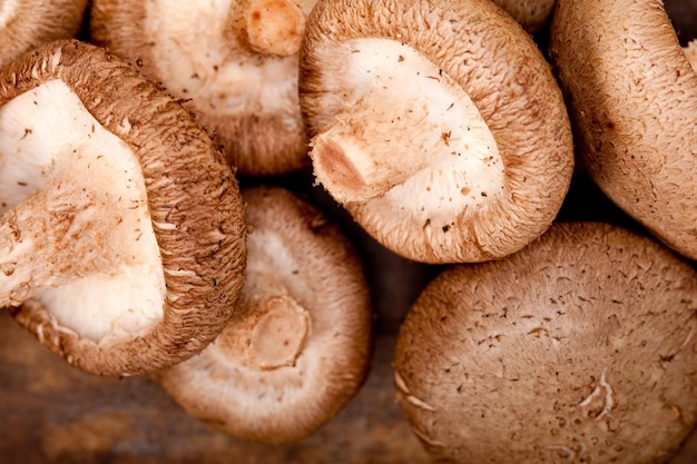 Vue rapprochée des champignons comestibles sur la table
