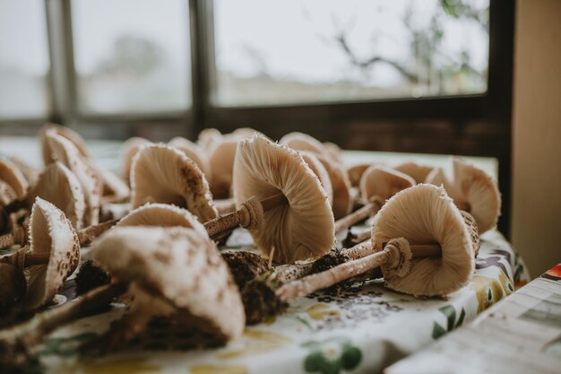 Photo vue rapprochée des champignons sur la table à la maison