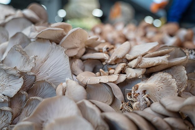 Photo vue rapprochée des champignons à vendre sur le marché