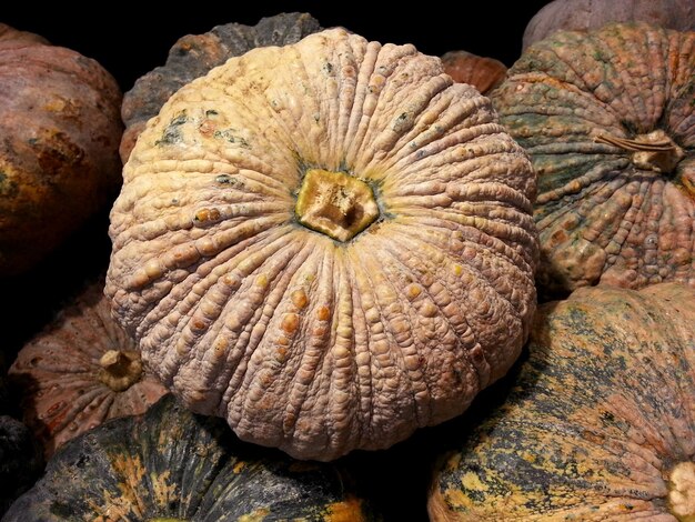 Photo vue rapprochée d'une citrouille sur fond noir