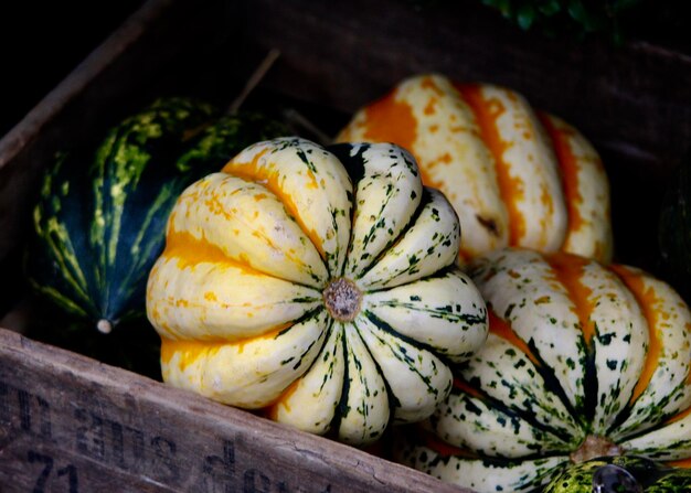 Vue rapprochée de la citrouille