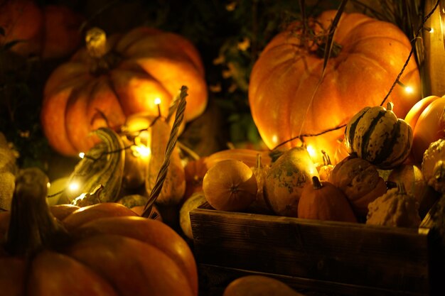 Photo vue rapprochée des citrouilles sur le marché