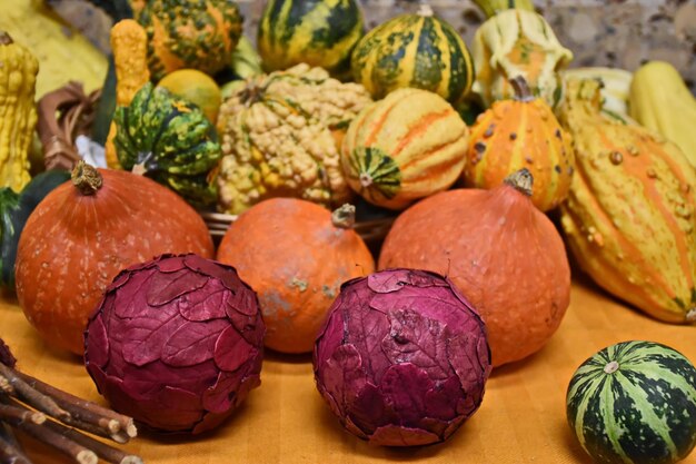 Photo vue rapprochée des citrouilles à vendre