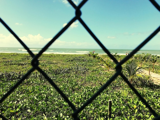 Photo vue rapprochée de la clôture contre le ciel