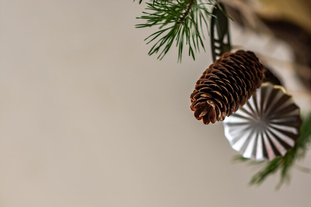 Photo vue rapprochée d'une cône de pin contre un arbre