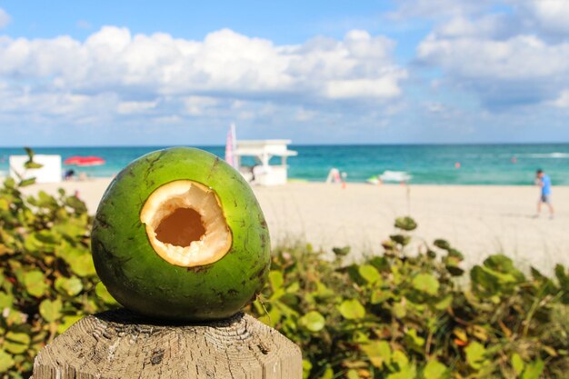 Vue rapprochée de la coquille de noix de coco sur un poteau de bois sur la plage contre le ciel