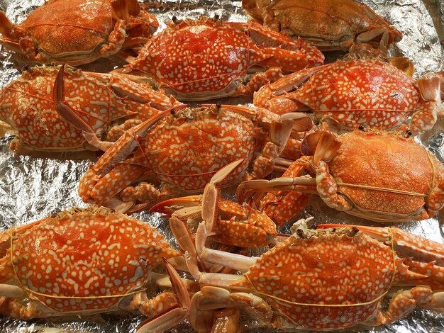 Photo vue rapprochée des crabes en vente au marché