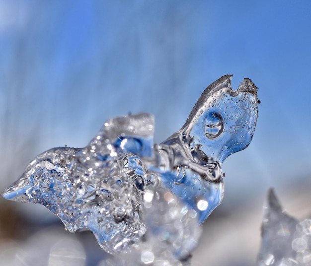 Photo vue rapprochée des cristaux de glace sur le ciel bleu