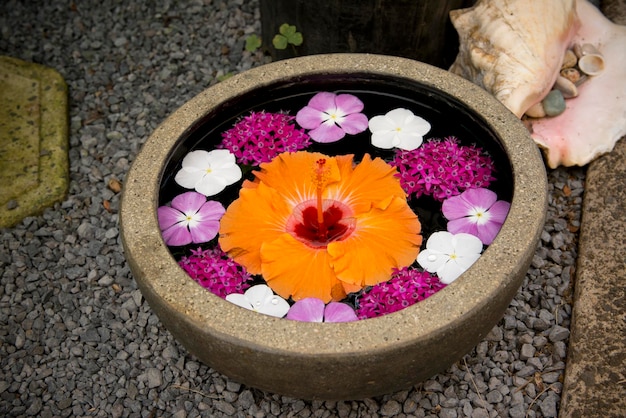Vue rapprochée de diverses fleurs dans un bol d'eau de spa