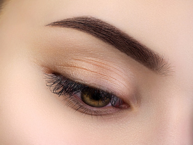 Vue Rapprochée Du Bel œil Féminin Brun. Sourcil Tendance Parfait. Bonne Vision, Lentilles De Contact, Barre De Sourcils Ou Concept De Maquillage Des Sourcils De Mode