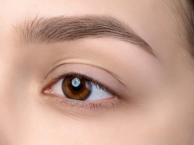 Vue rapprochée du bel œil féminin brun avec un sourcil tendance parfait