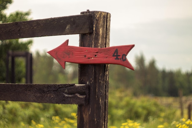 Photo vue rapprochée du bois rouge contre le ciel