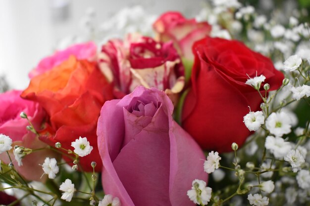 Photo vue rapprochée du bouquet de roses