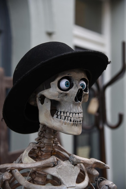 Vue rapprochée du chapeau sur le squelette