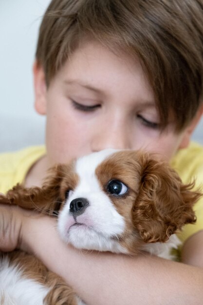 Vue rapprochée du chien