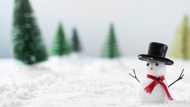 Vue rapprochée du concept de bonhomme de neige