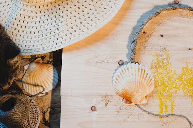 Vue rapprochée du coquillage