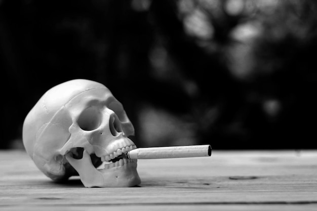 Photo vue rapprochée du crâne avec une cigarette sur la table
