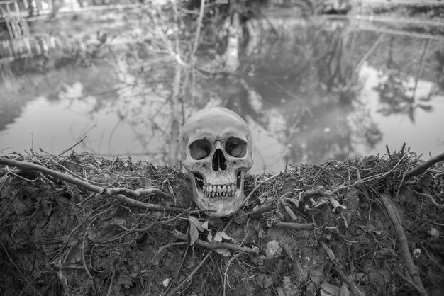 Photo vue rapprochée du crâne humain contre l'étang