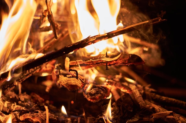Vue rapprochée du feu de camp sur le terrain