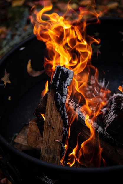 Vue rapprochée du feu de camp