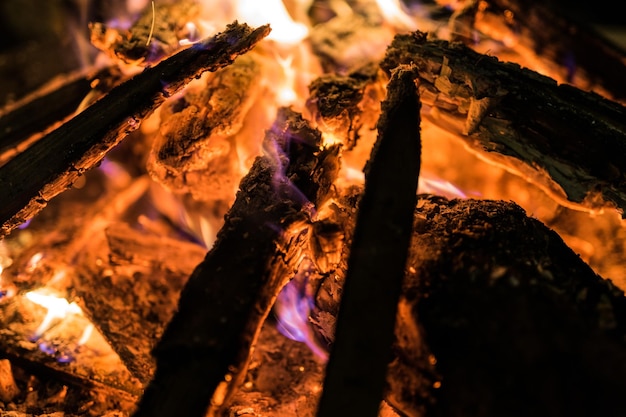 Vue rapprochée du feu de camp