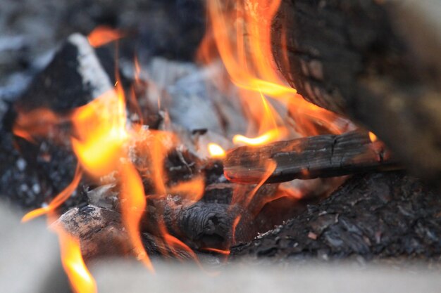 Vue rapprochée du feu de joie