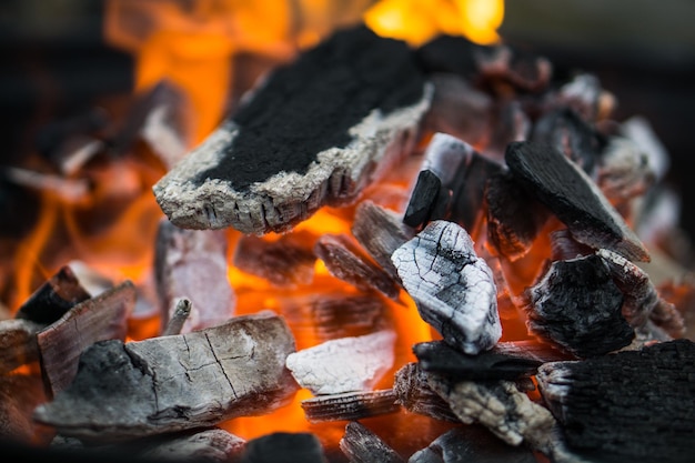 Vue rapprochée du feu de joie
