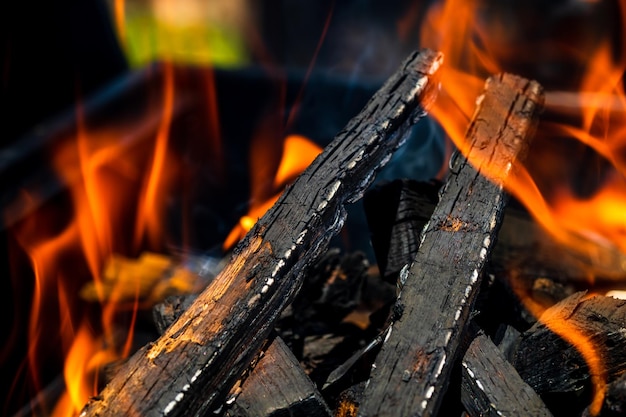 Photo vue rapprochée du feu sur le tronc