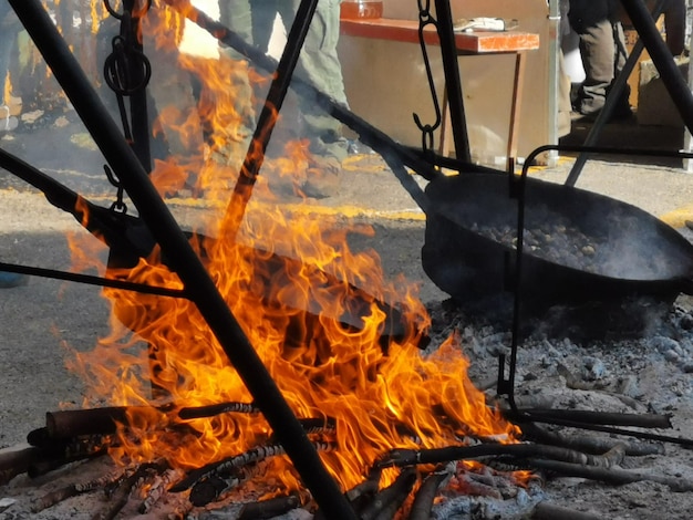 Photo vue rapprochée du feu sur le tronc