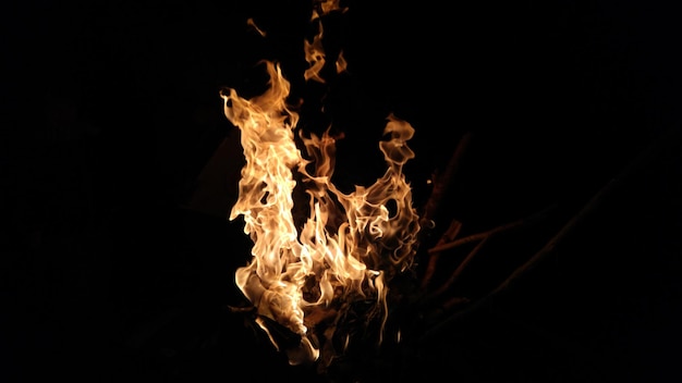 Vue rapprochée du feu