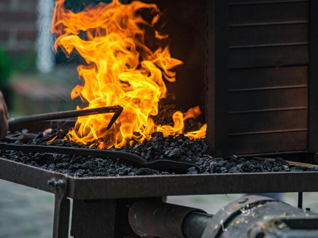 Vue rapprochée du feu