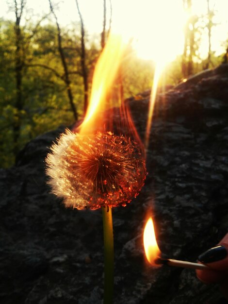 Photo vue rapprochée du feu