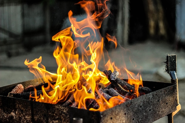 Vue rapprochée du feu